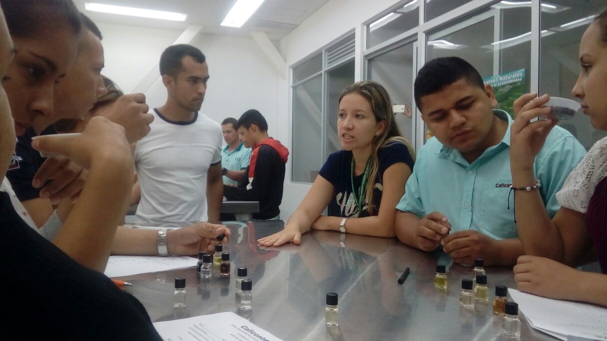 Curso De Cafe Cali Curso De Cafe Cali
